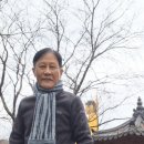오시게 경로당 네이버블로그