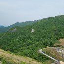 영 농장 이미지