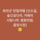 화천시티투어(평화누리호) | [화천]화천군 당일여행 (산소길, 숲으로다리, 거례리 사랑나무, 평화의댐, 중앙시장)