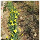 강천산 나비잠 이미지