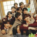 앤팀 카카오 검색결과