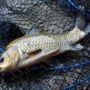 상곡낚시터 이미지