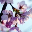 더 머물다 이미지