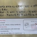 제주돈먹젠
