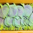 서진농장2 이미지