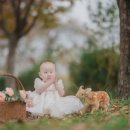 성림웨딩홀 이미지