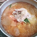 제미니국수 티스토리