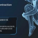 궐전제 네이버블로그