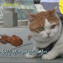 상귀농장