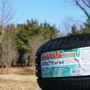 더타이어샵 고잔점 이미지