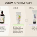 인셀덤강남중앙대리점 이미지
