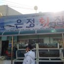 경주 감포 복어 횟집 &#34;은정횟집&#34;