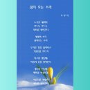 크린조아 이미지