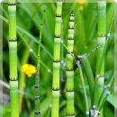 네일아트 손길 이미지