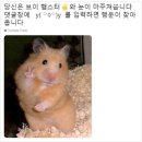 원갈비 이미지