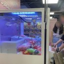해치아이