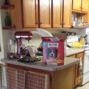 오구오구내새끼 이미지