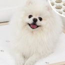 조은의료기기 이미지