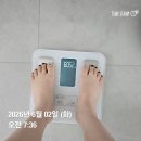 줌바·다이어트댄스 | 스텝퍼 30분 + 줌바댄스 1시간🔥 다이어트 6일차 몸무게 변화와 현실 식단 기록