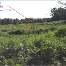 상신목장 이미지