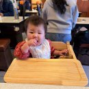 구암동275 | 대전 구암동 맛집 | 연예인들도 찾는 백송한우에서 봄동육회비빔밥 제대로 먹고 온 후기