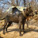 범이농장 이미지