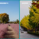 조정경기장 화장실(보트동) 이미지