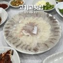 고기고 - 중구 서원6길 5 | 창원중동횟집 고기고횟집 모듬회 솔직후기