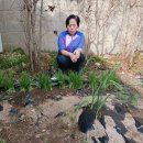 신화이용소 이미지