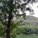 나주 글램핑 어스 | [나주 글램핑🏕️] 나주 글램핑장 추천 글램핑어스