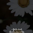 복음담다