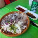 한원호 | [속초 가볼만한곳] 동명항 "오징어난전" 한원호 주차 시간 가격 솔직후기 (feat.포키)