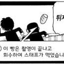 돌정