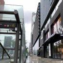 닥터뉴셀의원 | 강남역피부과 제모 추천, 팔 제모 레이저 후기