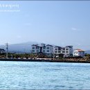 씨에코비치 이미지