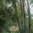 지노포트 이미지