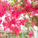 한림공원 이미지