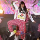 501 이미지