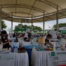 회산백련지 잔디광장 이미지