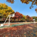 경기도 수원시 영통구 광교호수공원로 이미지