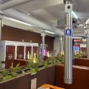 무등온누리약국 이미지