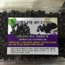 정암2리 마을회관 이미지