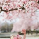 비바체음악학원 이미지