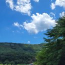 아란 농장 이미지