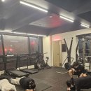 TSQ BOXING 이미지