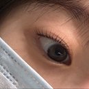 네케아(NEKEA)