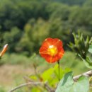 소동부뚜막 이미지