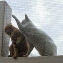 알콩달콩 이미지