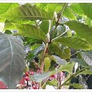 희정농장 이미지