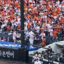 217 | 한화이글스볼파크 두산vs한화 류현진200승 217구역 자리뷰 직관후기